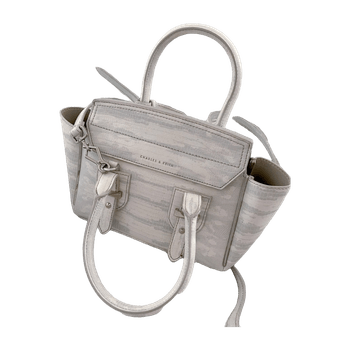 Charles & keith bag