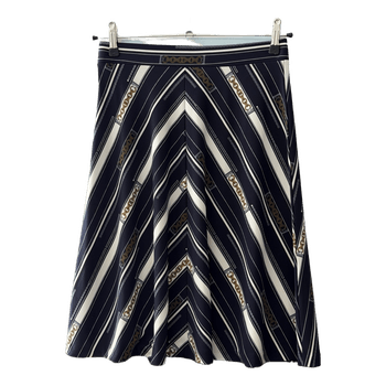 Ann Taylor skirt