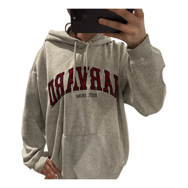 Grey harvard hoodie