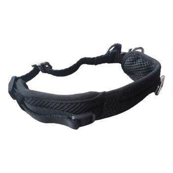 Musta koiranpanta