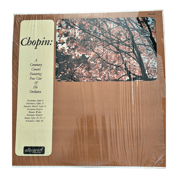 LP vinilinė plokštelė