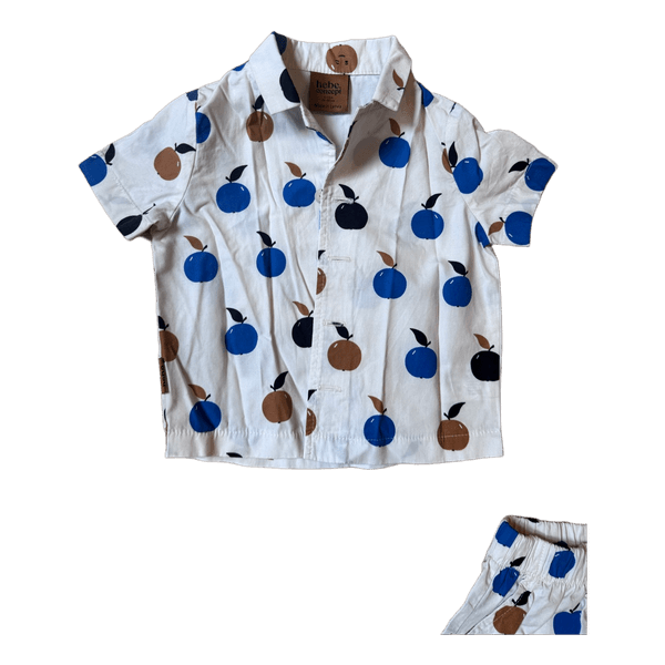 Hebe concept fruit print set