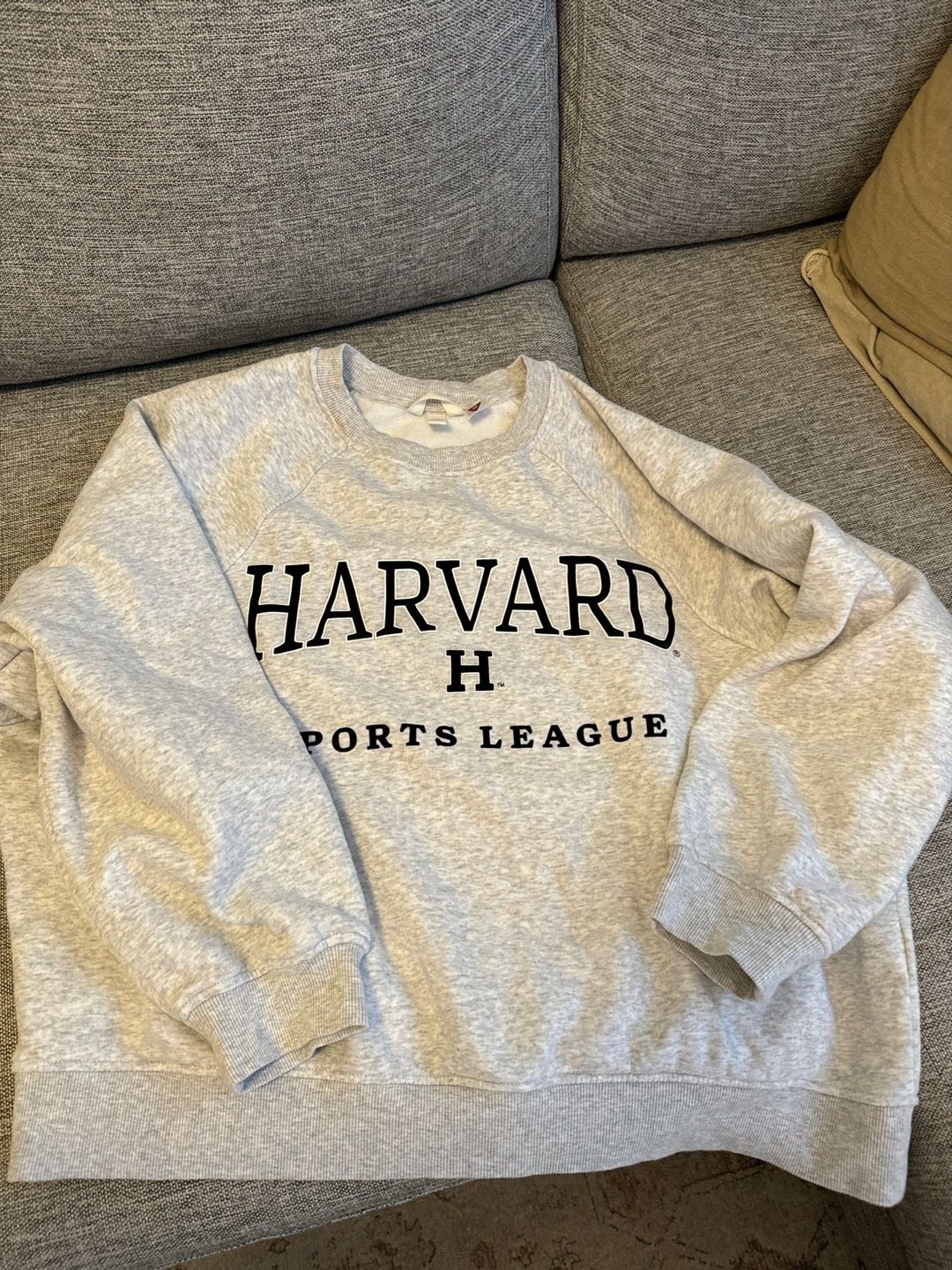 H&m hoodie