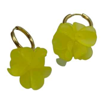 Ear rings jewelry