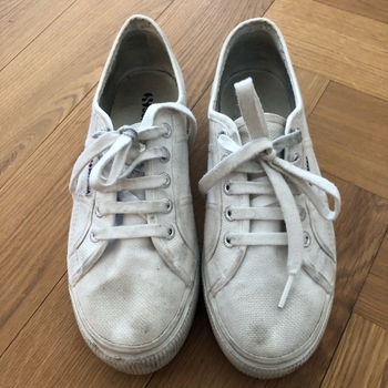 Superga sneakers