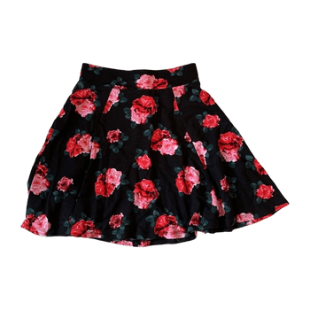 H&m skirt