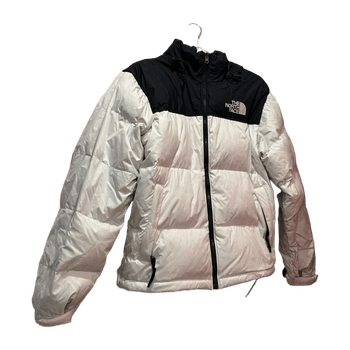 The north face coat