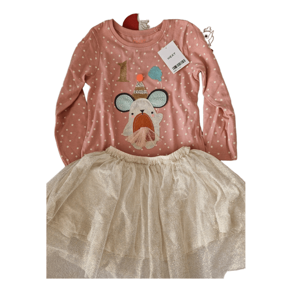 Next top and Zara skirt