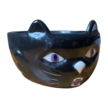 Cat bowl