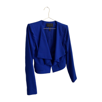 Bcbgmaxazria blazer