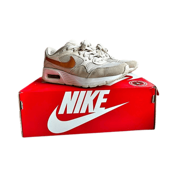Nike Air Max sneakers