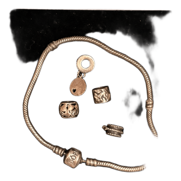 Pandora charm bracelet set