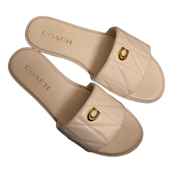 Coach slides