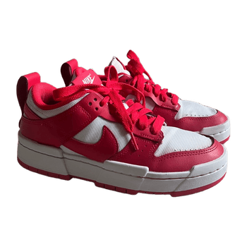 Nike Dunk Disrupt