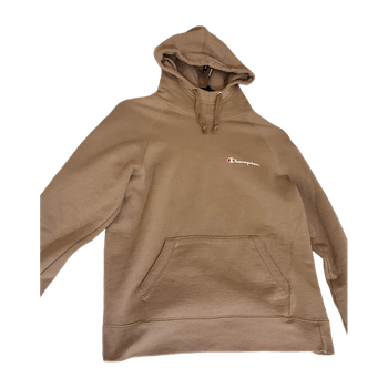 Champion hoodie