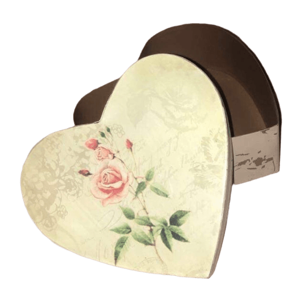 Rasia accessory