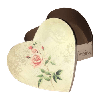 Rasia accessory