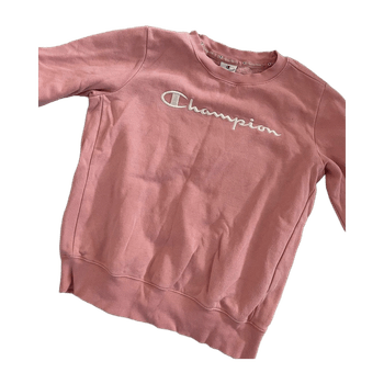 Champion hoodie