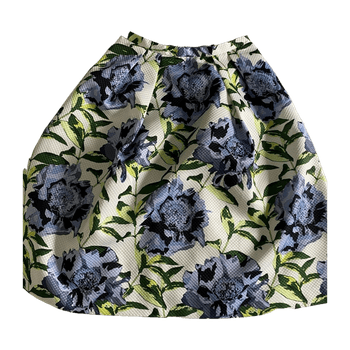 H&m skirt