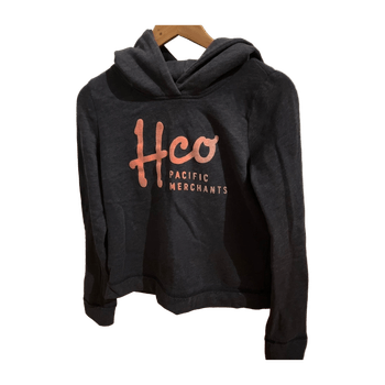 Hollister hoodie