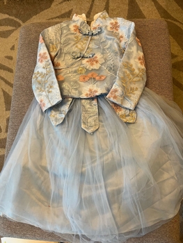 Embroidered tulle dress