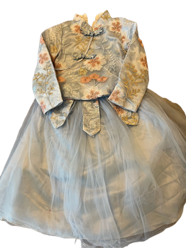 Embroidered tulle dress