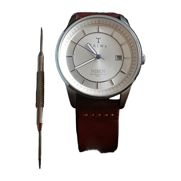 Triwa watch