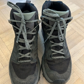 Salomon sports shoes