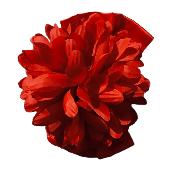Vintage hairclip