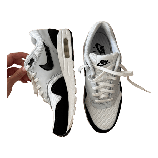 Nike Air Max sneakers