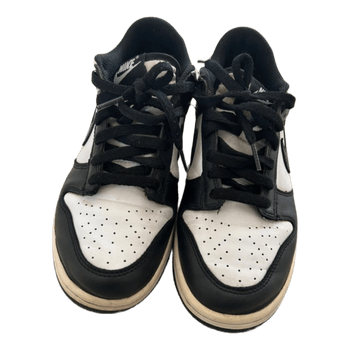 Nike dunk low sneakers