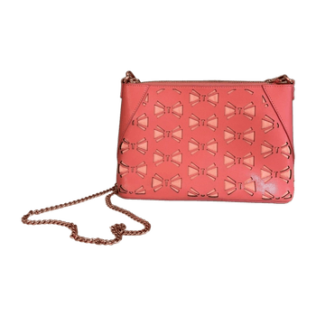 Ted baker bag