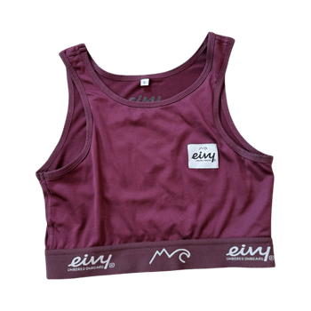 Eivy Burgundy sports bra