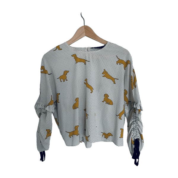 Zara blouse