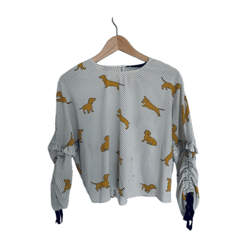 Zara blouse