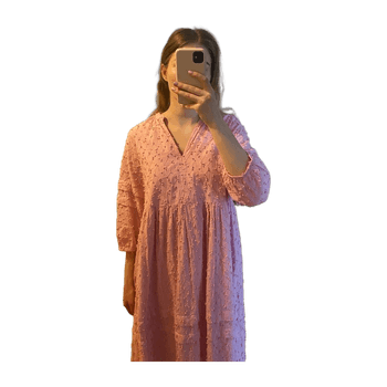 Selected femme dress