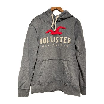 Hollister hoodie
