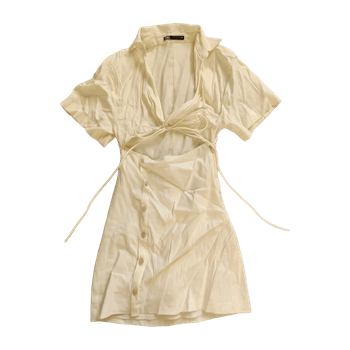 Zara dress