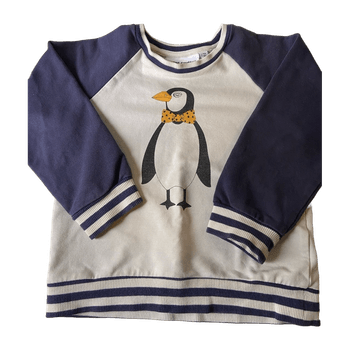 Mini rodini kids' hoodie