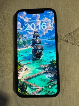 iPhone 12 Pro max
