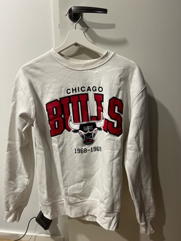 Chicago Bulls collage