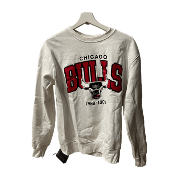 Chicago Bulls collage