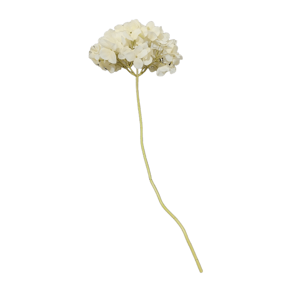 Tekokukka hortensia 