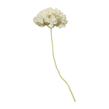 Tekokukka hortensia 