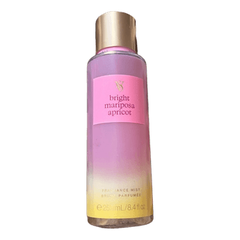 Bright Mariposa Apricot mist
