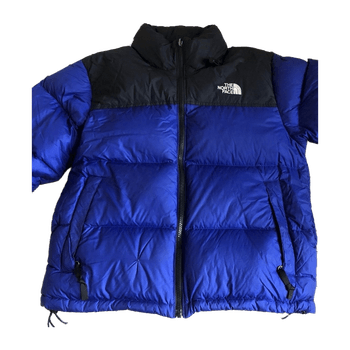 The north face coat