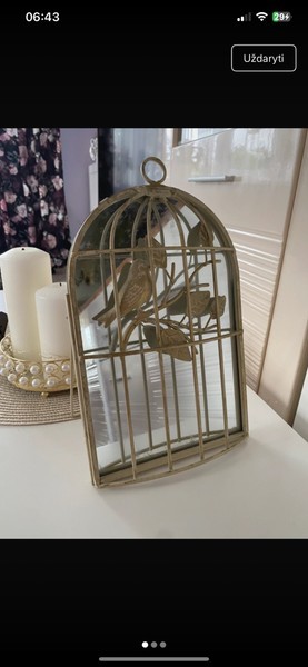 Gold bird mirror