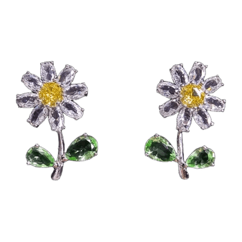 Fashion earrings jewelry