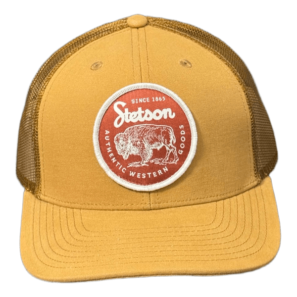 Stetson brown trucker hat