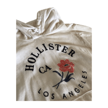 Hollister hoodie